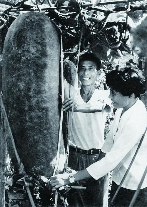  摄影师|50年，30余万张照片，这位广州摄影师用影像讲述社会发展