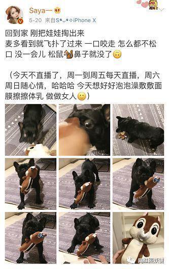 打孕妇、袭警，这个被王思聪实名怒怼的百万粉网红到底什么来头