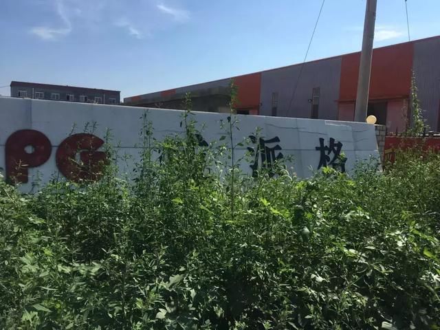 清华高材生卖童装上市，如今逾期90万遭追债，请看门大爷当老板