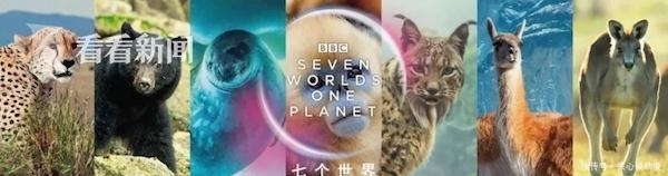 太热了!看着这样的南极 BBC摄像师心痛到落泪