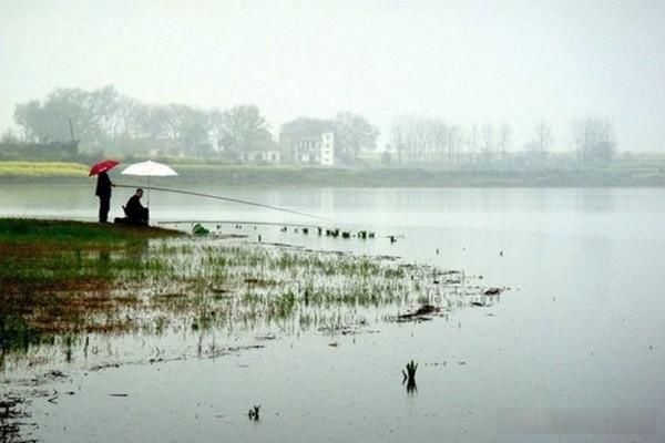  【绵绵细雨】最适合春季钓鱼几种天气，这些天气鱼儿疯狂开口，收获肯定差不了
