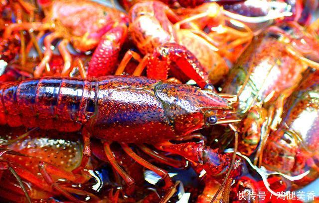 那么多小龙虾的负面传言是真的吗？爱吃小龙虾的你快来了解一下，