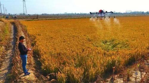  「电商」未来几年！在农村也能赚钱，特别是这4种行业