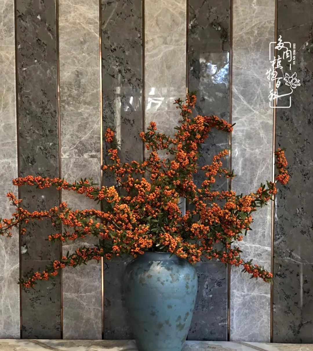  「院里」在茜的多肉小院里,花时间种快乐!