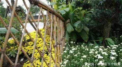  「快乐」篱笆小院住在乡村的快乐，你想体验吗！