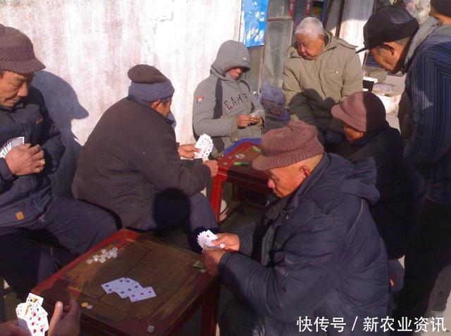  「监管」年底之前，村干部会重点监管4种行为，农民注意别“踩雷