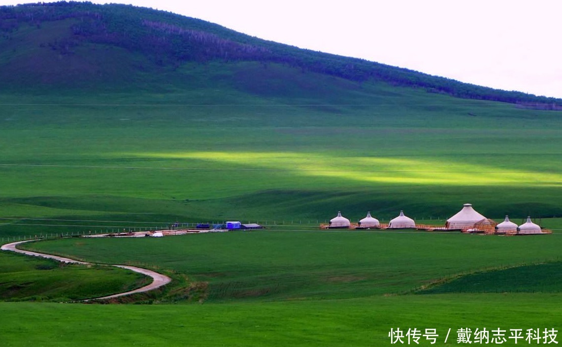 一望无际的大草原上，为什么不长树看完解开我多年的疑惑！