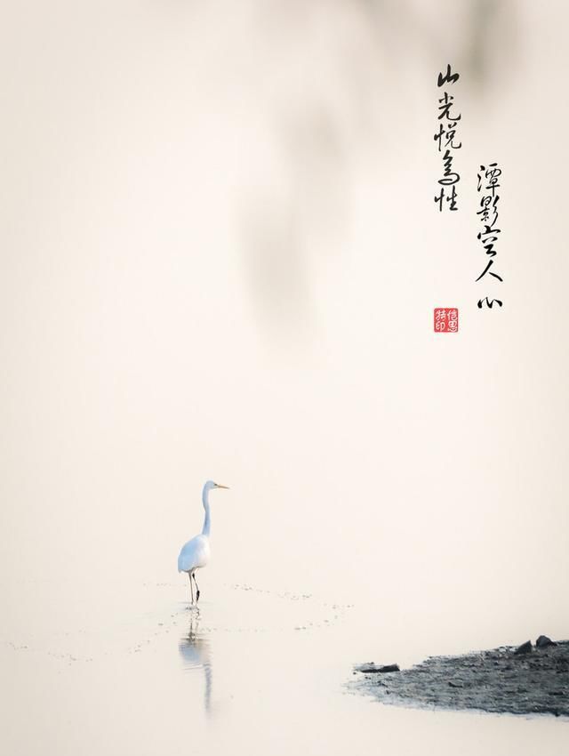  #凡事#人性之善恶，伪命题也自有宿命：凡事走中庸之道。