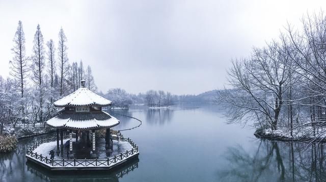 静山竹语｜若许我一场大雪