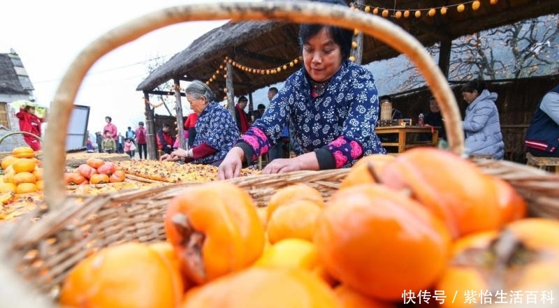  「遭遇」“柿子”大量上市遭遇滞销，果农发愁，专家提出3个建议