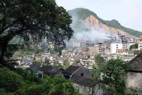 游客在旅途中,无意拍摄到重庆悬崖峭壁上,趴着一只3米长大老鼠