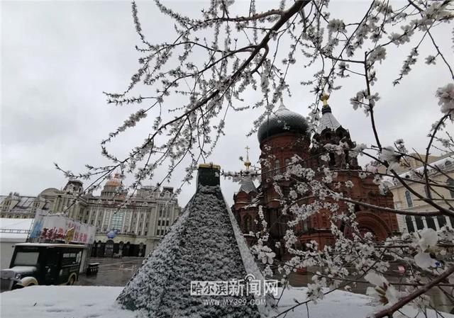 「交警部门」黑龙江这场大暴雪史上只现两次,专家分析来了!27日后可能…