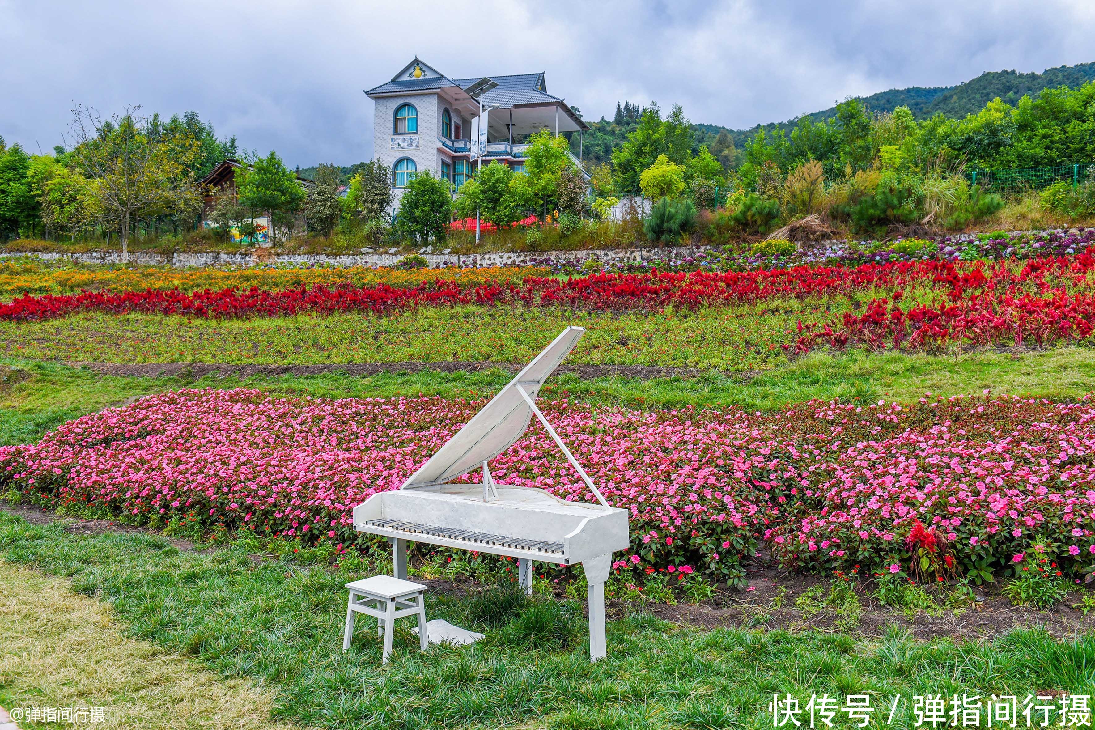 云南临沧有个“鲜花村寨”，昔日贫困山村，摇身变成“欧洲小镇”