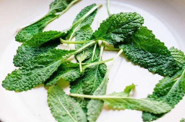 茅厕边生长的“丑草”，却是穷人的“救命草”，现在晒干7元一斤