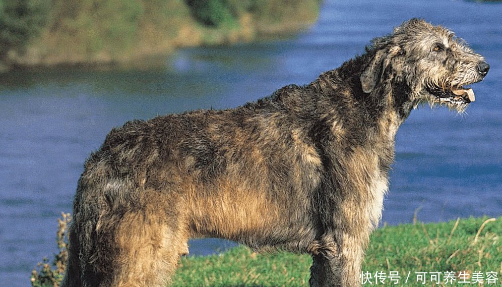 t01c3f6d6f0e7f02c70.jpg?size=996x569