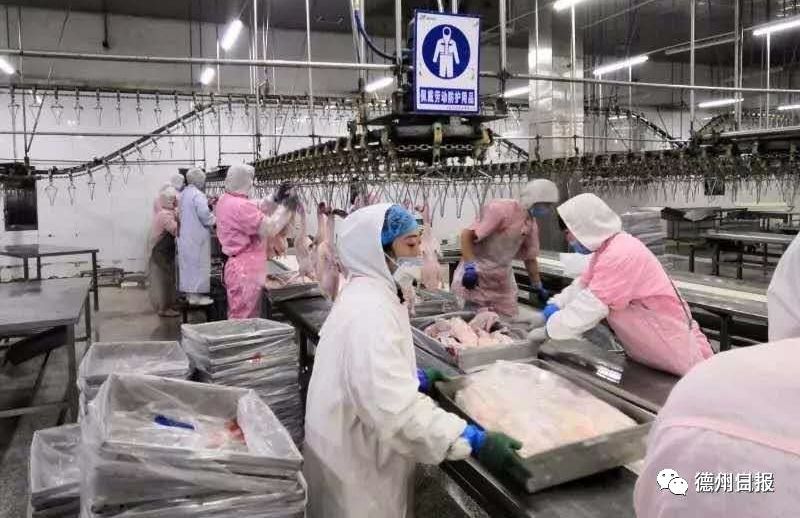  「德州市市场」省卫健委：2月13日12-24时，德州无新增确诊病例