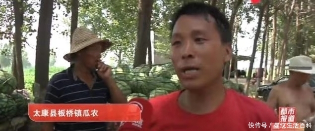 河南太康：西瓜丰收运不出，瓜农急得直跺脚，限高“封路”为哪般
