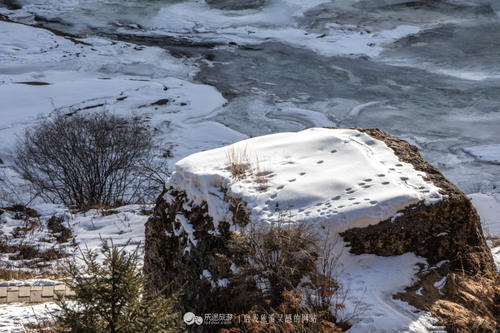 一座佛道共存的寺庙，几位饱经沧桑的信徒