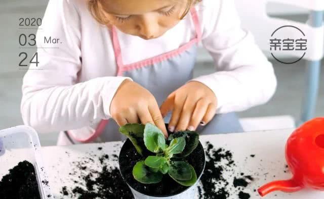  『植物是否』家中有孩子的留意了！这几类常见植物有害，千万不要养