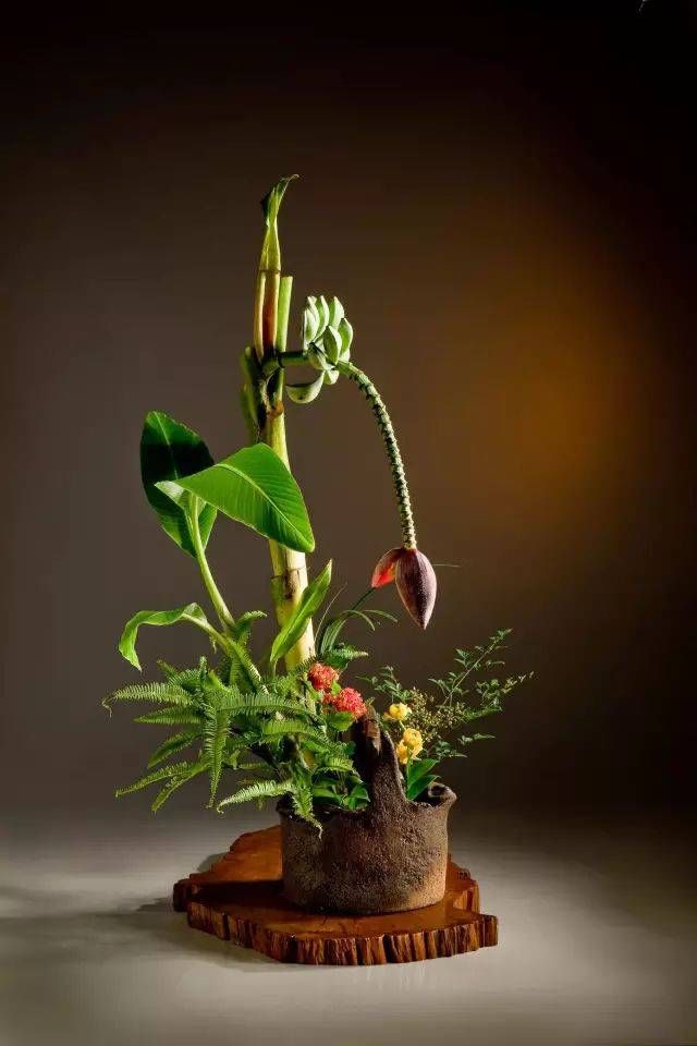 「植物叶片」切叶 | 插花造型艺术中的配角!