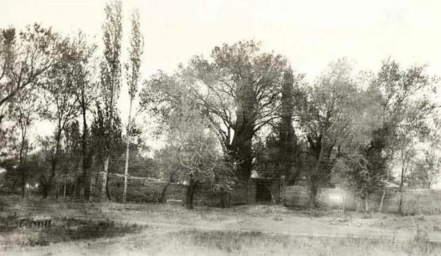 看看100年前的新疆什么样?