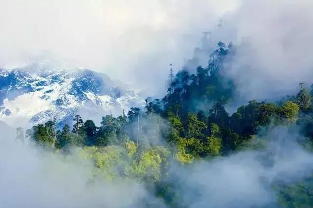 那些隐秘世外的墨脱美景，是不容错过的神奇!