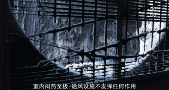 几名德国人在广东“卧底”数月后，揭露出时尚界不想让你知道的丑