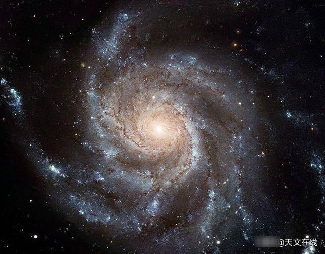 『圆盘』超美!世界特大望远镜拍到最美旋涡星系,可以让你大饱眼福