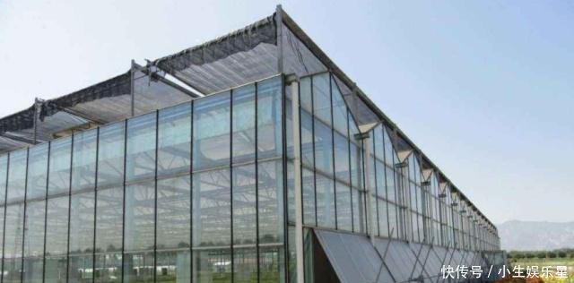 农业部大棚房等违法建筑坚决拆除！可大棚房究竟“错”在哪里