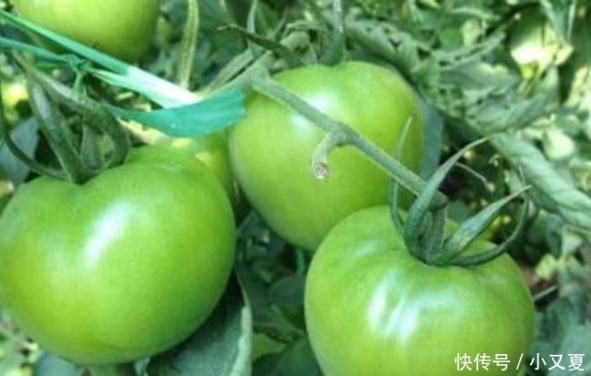 「定要注意」最伤肝脏的5种食物,比喝酒都伤肝,家家户户都有再不注意就晚了