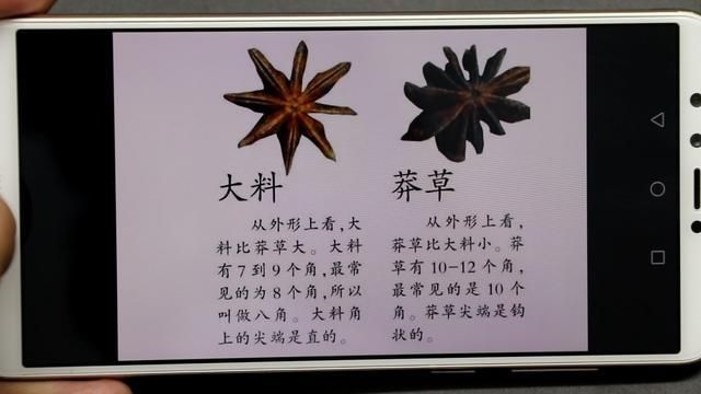  【认准】八角也有真假之分，只要认准“三点”，不会被坑，看完长知识