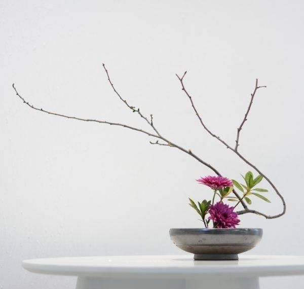  『艺术』插花艺术 五种插花美告诉你的人生真理!