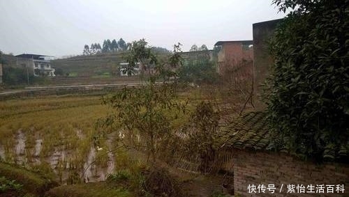  大事■未来三到五年内，这五件大事将影响农村，农民也会受到影