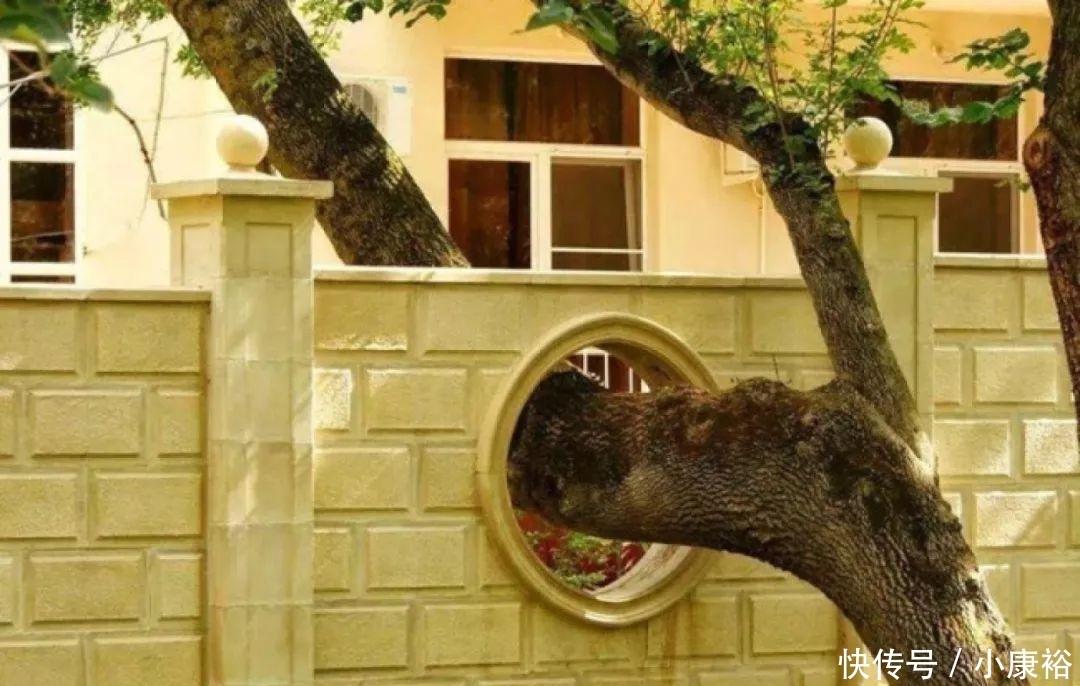 直击外国人给植物“让道”后修建的建筑, 每一个都值得赞赏