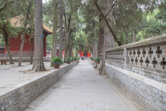  [时间]世界上延续时间最长的家族墓地，就在山东，占地3000多亩