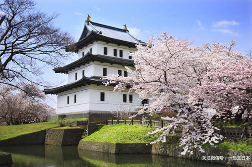 2019年樱花前线来袭！快来看最新樱花季预测！