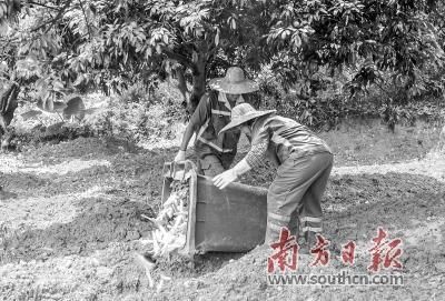  #工作#广州分三类行政村推进农村生活垃圾分类工作