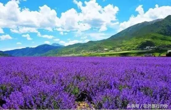 国庆四川游最强攻略,几乎囊括了四川全部美景,赏到你不想离开