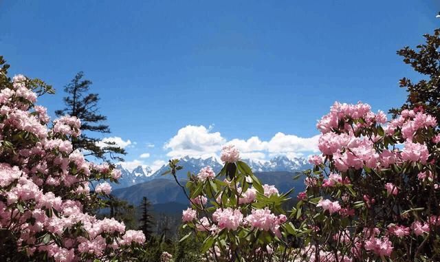 四川这个地方比亚丁美，漫山都是海子，石头缝躺着上亿年的水晶石