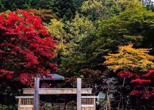 日本人都盛赞的日光绝景，究竟有多美？没来过就等于白去了日本