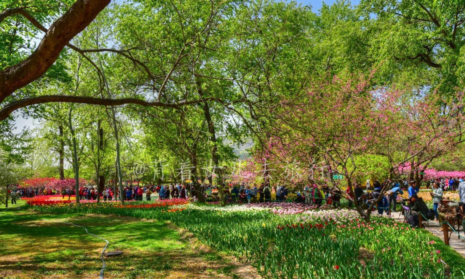 国内最牛的植物园, 末代皇帝当园丁, 每年接待百万游客