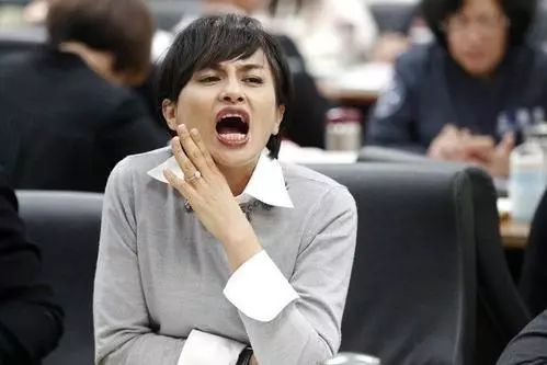 民进党的五大猪队友