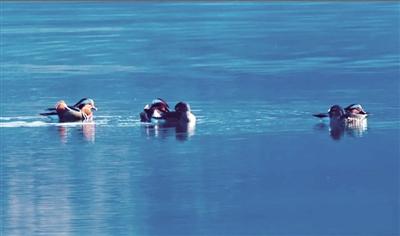 手机盘县在线,盘县头条-盘县事早知道,乐享盘县