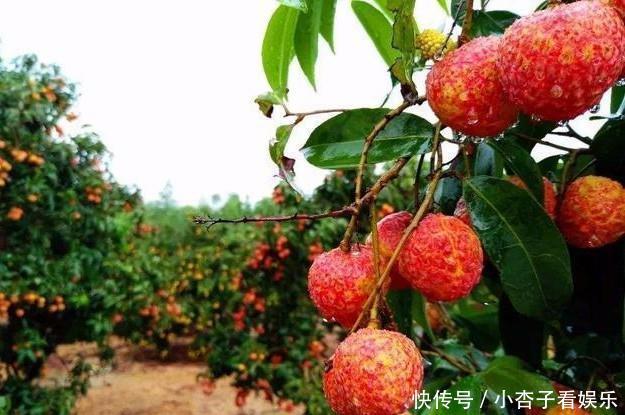  #碰壁#印度把“中国特产”带回去，想出口到其他国家，却四处碰