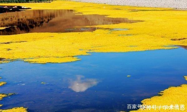 这片净土属于中国领土，98年划归中国版图，国人却很少知道