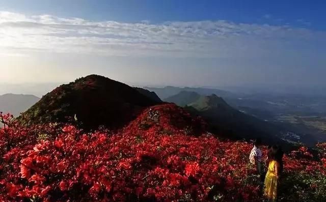  [丹寨县]360度无死角，欣赏云上丹寨之美