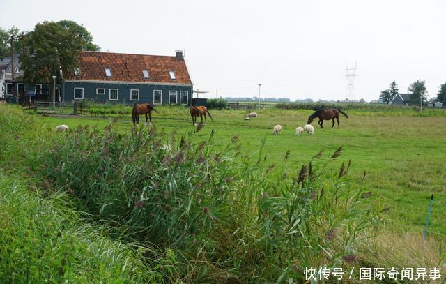 高度发达国家的农村风景——荷兰农村是这个样子的