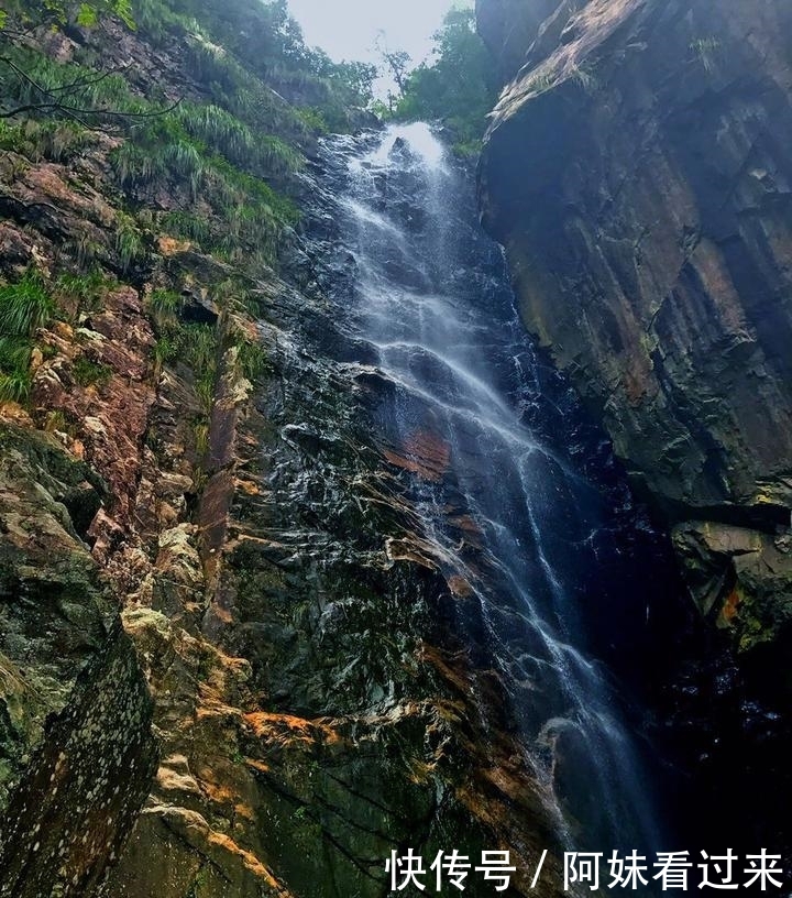 明年中国人就有自己的国家公园啦!浙江一景点有望上榜首批名单