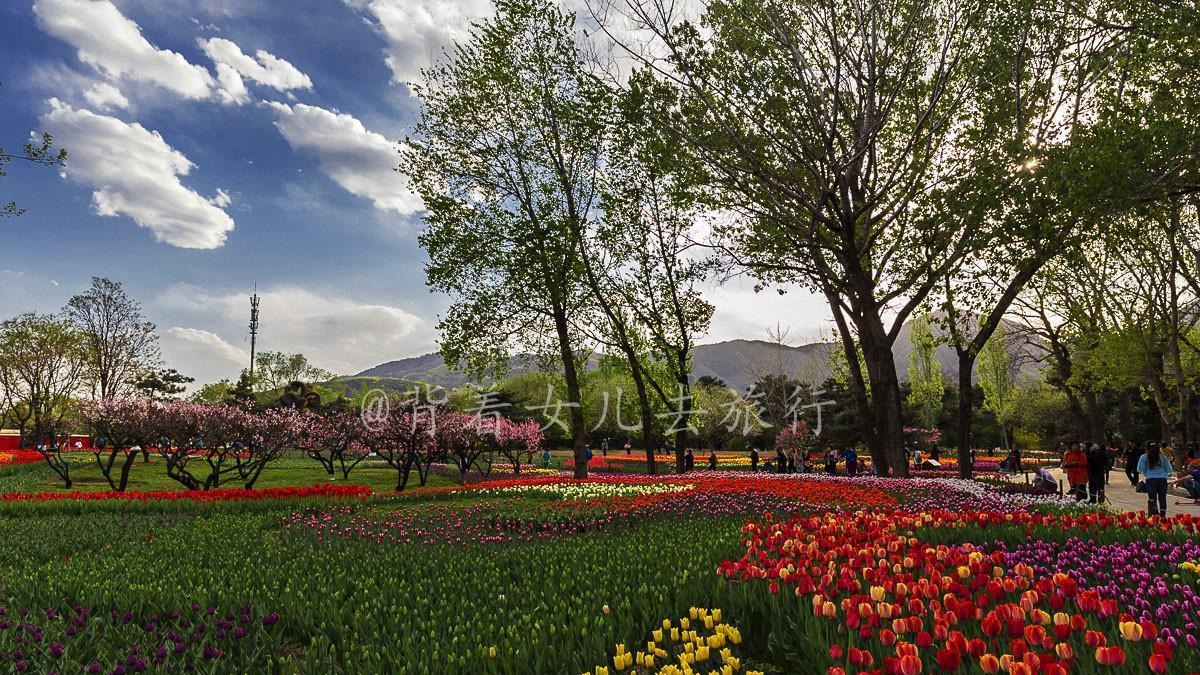 国内最牛的植物园, 末代皇帝当园丁, 每年接待百万游客