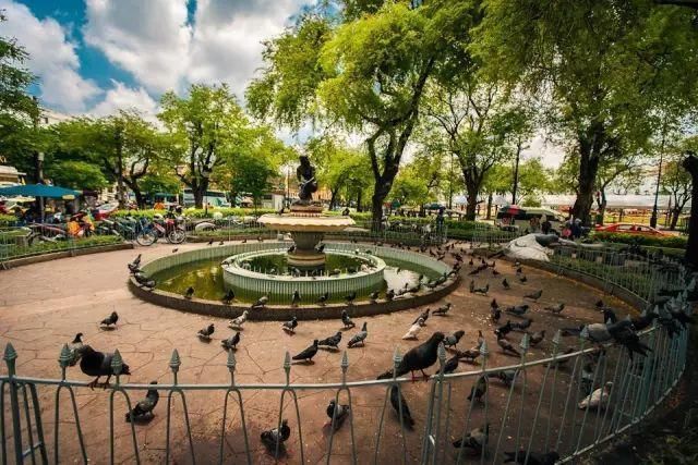 曼谷致命吸引力正是热带风光、佛教文化、民间风俗三者的叠加